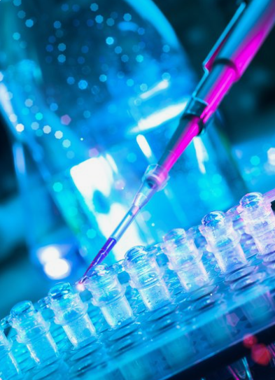 分子生物學服務